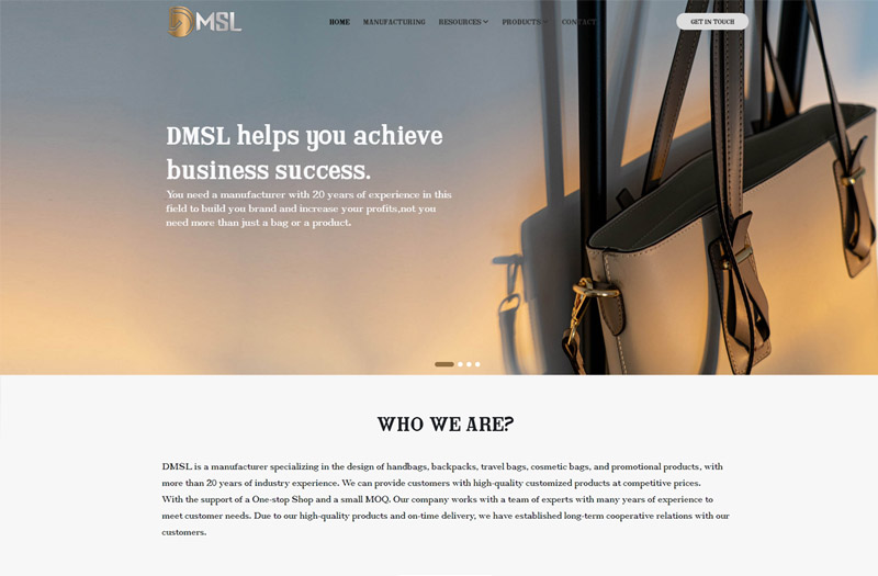 DMSL COMPANY LIMITED